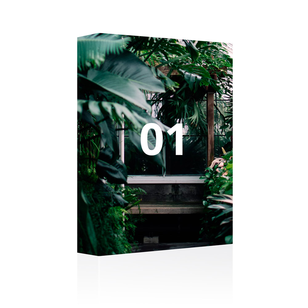 RNI Films CC box artwork for Adobe Lightroom film emulation presets and profiles