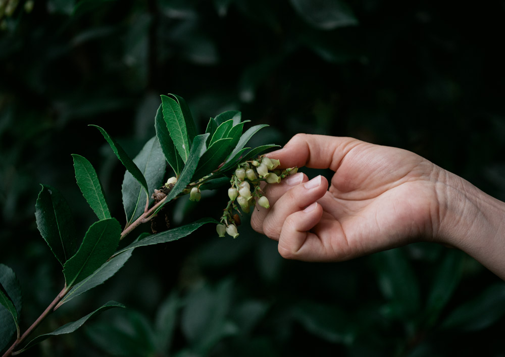 RNI All Films — Fuji Pro 400H film emulation example