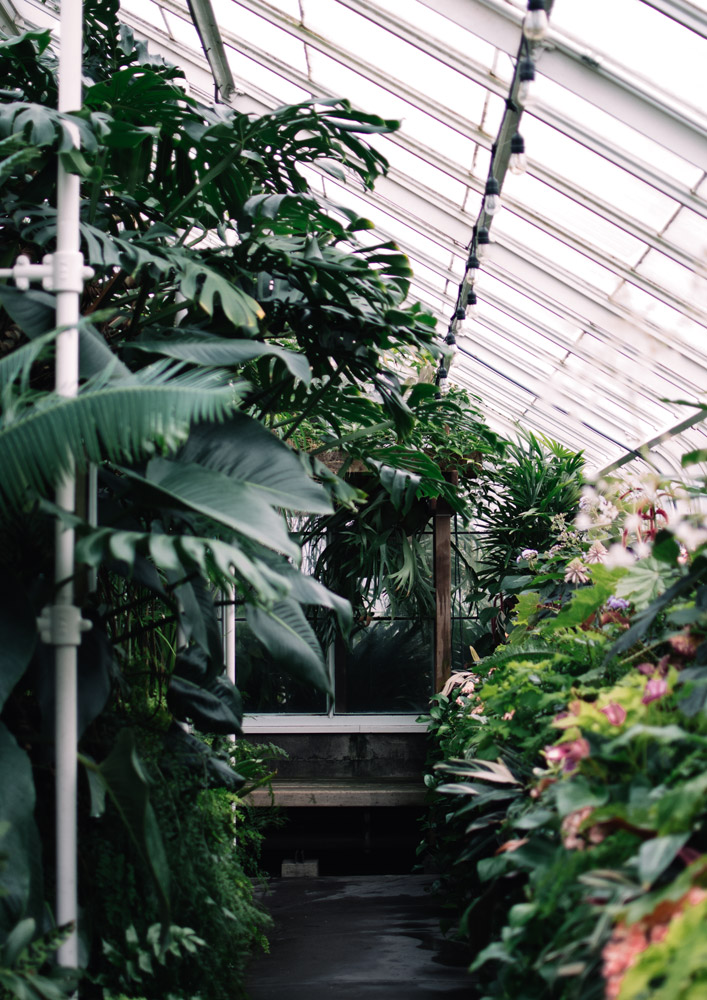 RNI All Films — Fuji Natura 1600 film emulation example